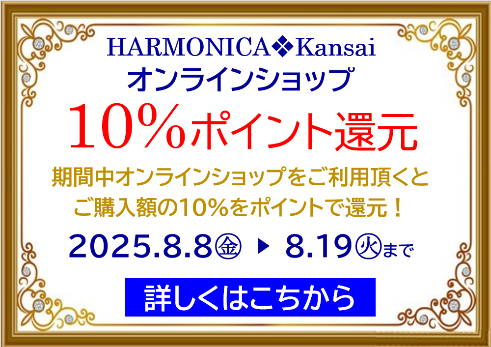 HARMONICA ストライプ ブロックパターン スカート F バイカラーニット ストライプ柄スカート(ロング・マキシ丈